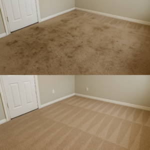 Before and after residential carpet cleaning
