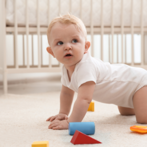 Hypoallergenic Carpet Cleaning