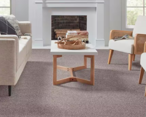Modern home with clean carpet
