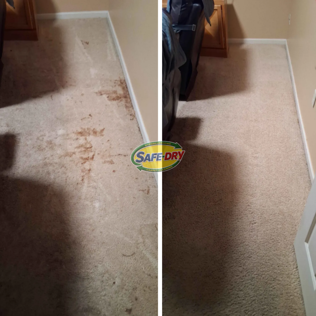 Before and After Carpet Cleaning